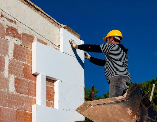 Best Professional Insulation Contractor  in Cary, NC