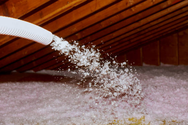 Best Insulation Contractor Near Me  in Cary, NC