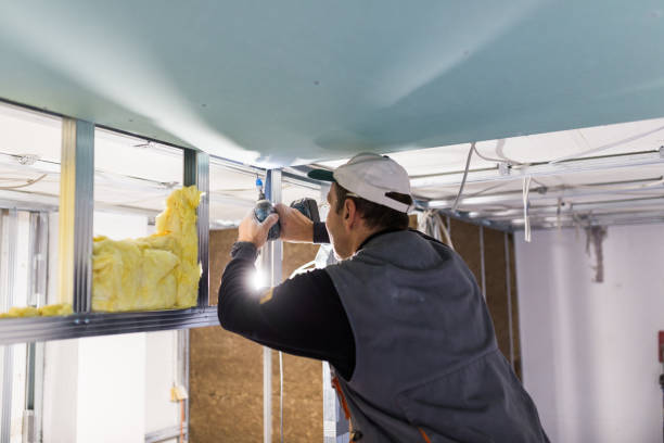Best Insulation Repair Services  in Cary, NC