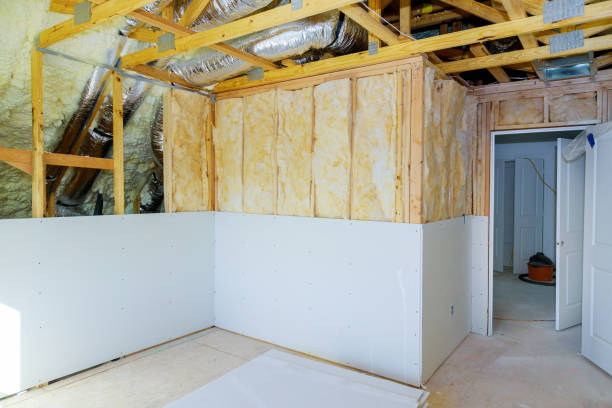 Best Insulation Removal Services  in Cary, NC