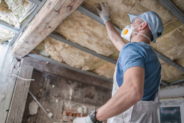 Best Cellulose Insulation  in Cary, NC