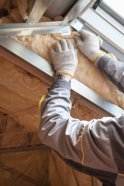 Best Garage Insulation Installation  in Cary, NC