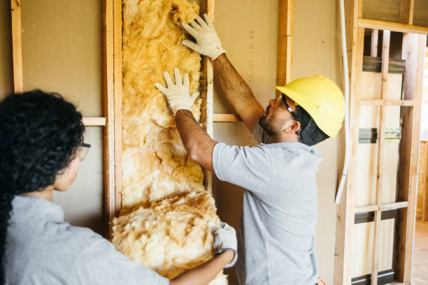Best Insulation for New Construction  in Cary, NC