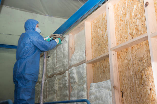 Best Affordable Insulation Services  in Cary, NC