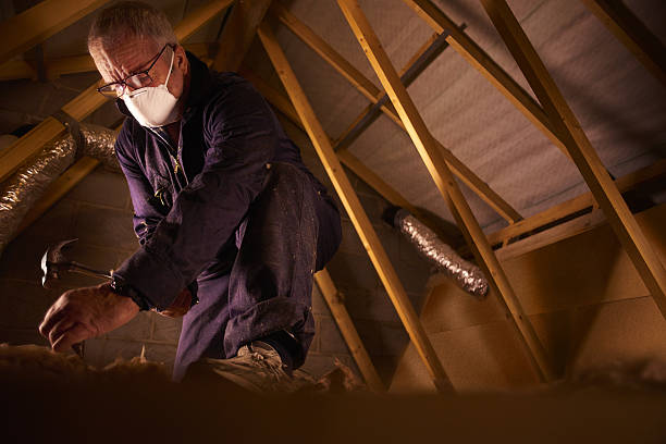 Best Blown-in Insulation  in Cary, NC