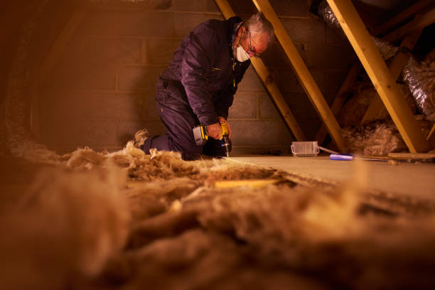 Best Wall Insulation Contractor  in Cary, NC
